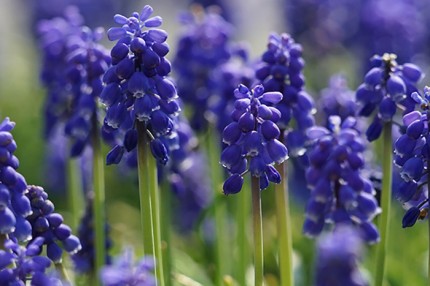 15c9dbb18bfd46bd886ad7fad74e63b9