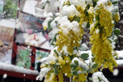 293c0227-s