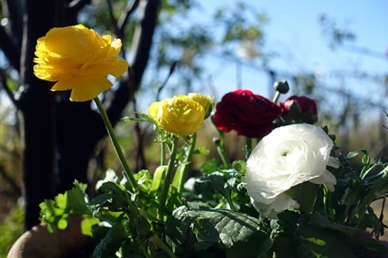 54bd90cfe78f6a208361835b70da5ef7