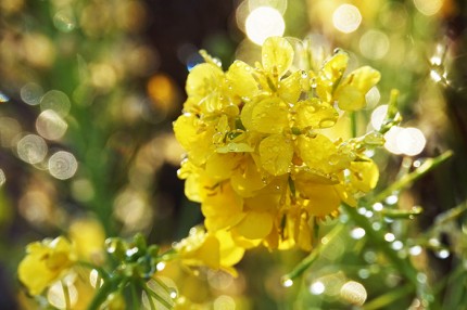 59c6e9a0401001713be0fe1533d8e1b5