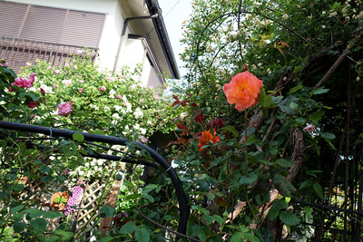 848a0193-s 848a0193-s