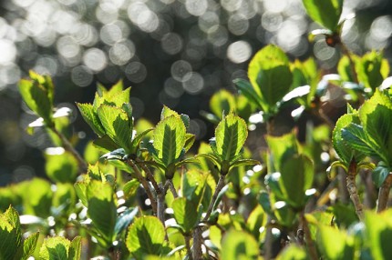 8b835c22692909490cb26d647c505b9a