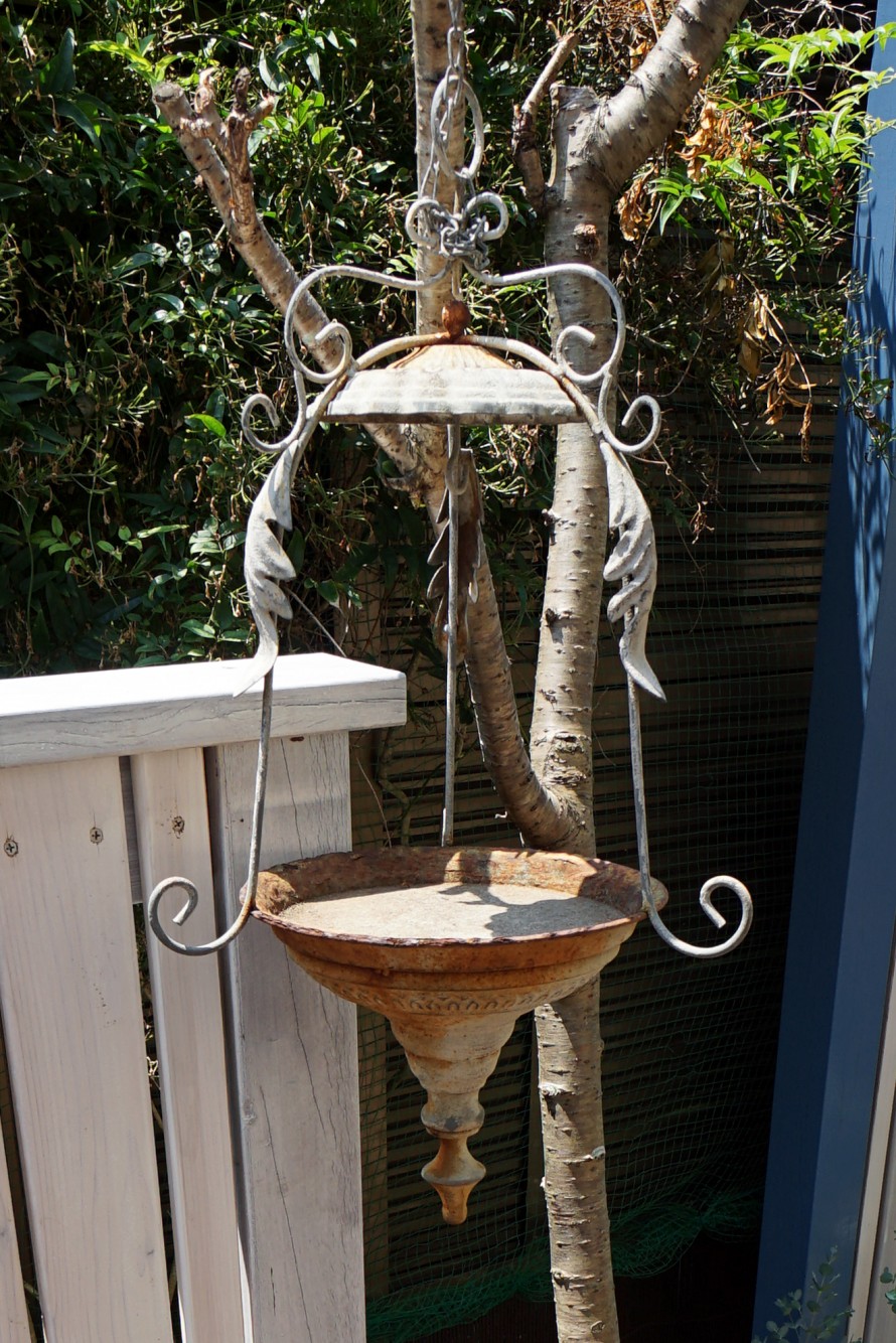 DSC00304