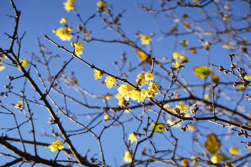 DSC02974 DSC02974