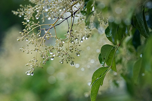 DSC03985 DSC03985
