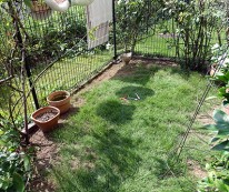 DSC04706
