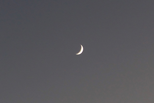 DSC05082