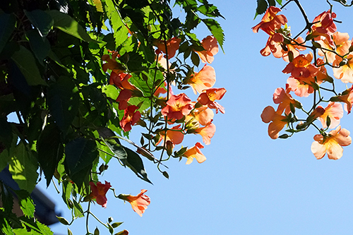 DSC05504 DSC055041