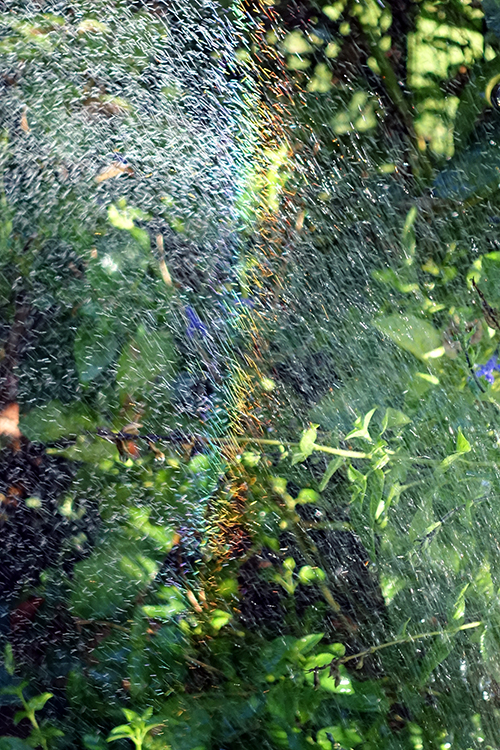 DSC08615