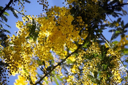 a5dee25ef19274eeb3b03982f822e14c