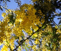 a5dee25ef19274eeb3b03982f822e14c