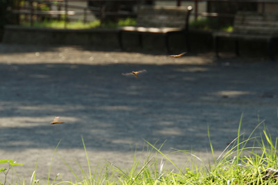 b71c9836-s b71c9836-s