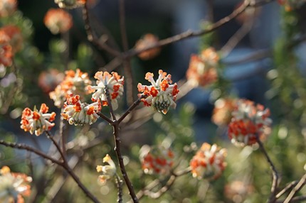 ca1156bec66dcec7fa13725877476bdb