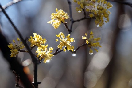 d1282f882cbcf497d246036666f1c81a