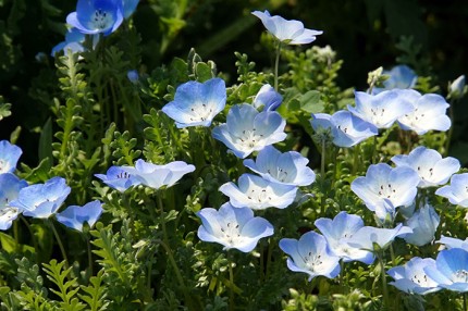 e03b5e4a88a1f7b185180a499841209c