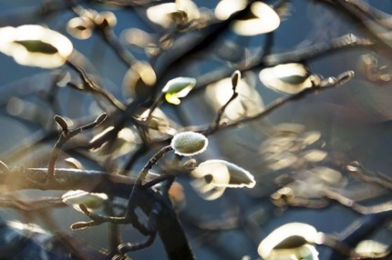 fd44ac20036b798b96a034a6aca538b71