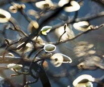 fd44ac20036b798b96a034a6aca538b71